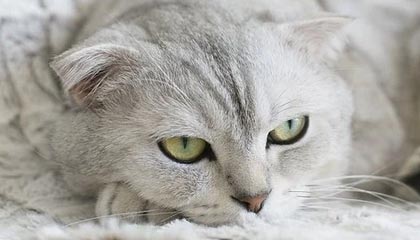 开云网站——让您的数字世界焕发无限可能