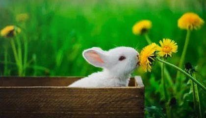 开云网站——让您的数字世界焕发无限可能