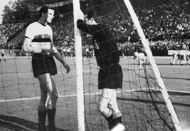 1652783040759035363.jpg 1.jpg